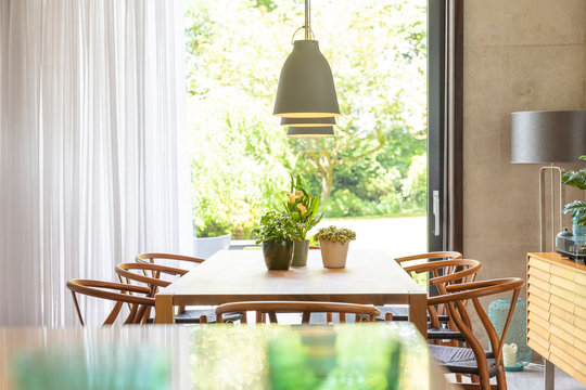 Plants on table below pendant lights in modern dining room
