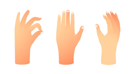 Set of human hand in different position, showing signs. Hand drawn with gradients.