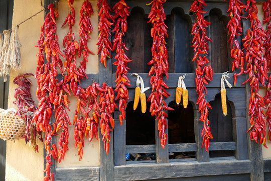 Dried red chili peppers hang on a wall