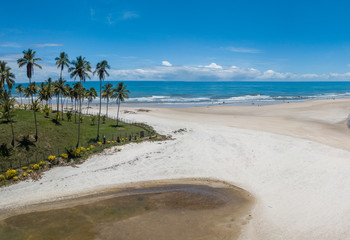 Fototapeta na wymiar Aerial drone view of Cururupe beach in Ilhéus city, Bahia, Brazil