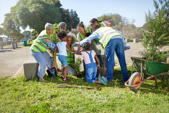 Community volunteers planting trees in sunny park