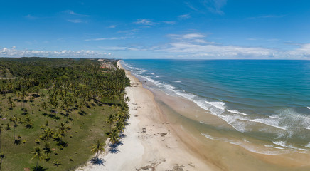 Aerial drone view of tropical beach with coconut palms in Ilhéu
