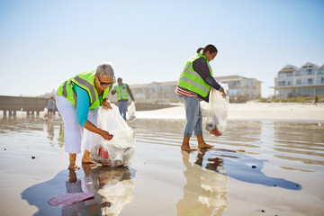 Female volunteers picking up litter on sunny wet sand beach