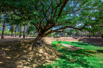 Fototapeta premium Background, the landmark of the Buddhist tourist attraction in Sukhothai Historical Park, tourists all over the world come to see the beauty always in Thailand.