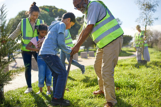 Multi-generation family volunteers planting trees in sunny park