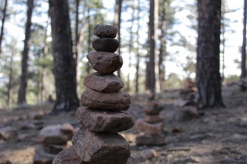 Rock cairns and trees
