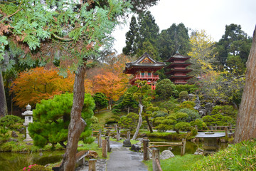 Green Garden View