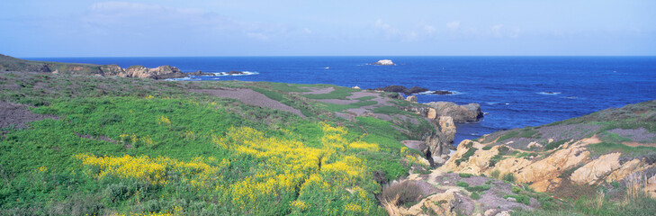 Seashore along Highway 1 in spring, Northern California