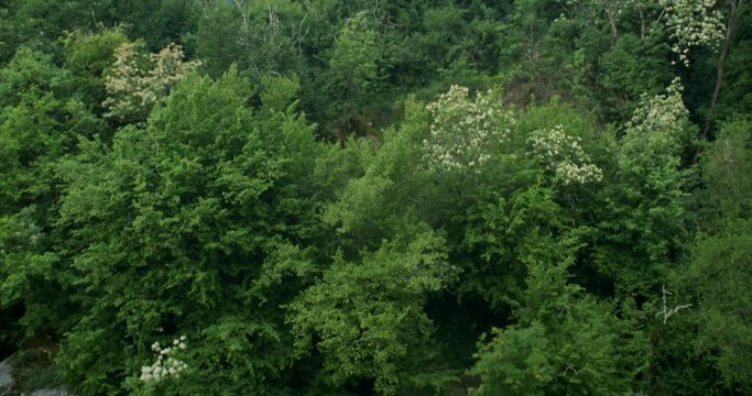 Stone house in traditional Kotli village, Istra