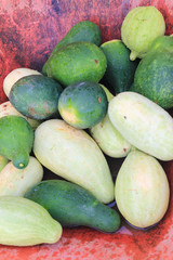 MELANCIAS VERDES TÍPICAS DO NORDESTE BRASILEIRO