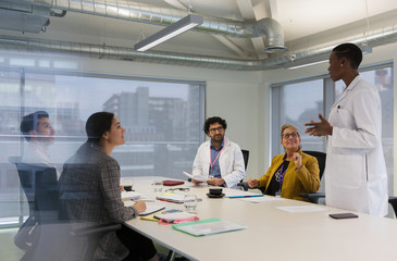 Female doctor leading conference room meeting