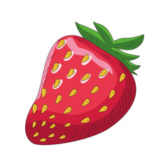 strawberry fruit icon, flat design