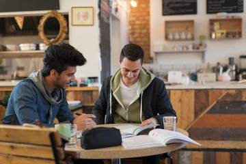 Young male college students studying in cafe