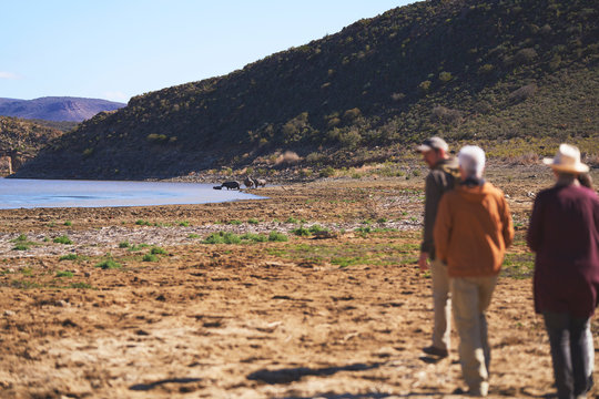 Safari tour group walking in sunny grassland South Africa