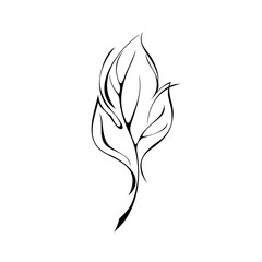 ornament 1002. one stylized leaf in black lines on a white background