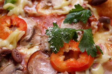 Close up of fresh baked pizza with prosciutto and bacon