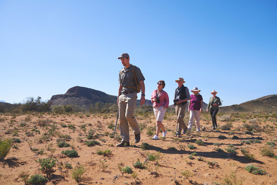 Safari tour guide leading group in sunny grassland South Africa