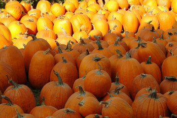 Pumpkins