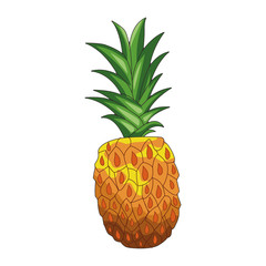 pineapple fruit icon, flat design