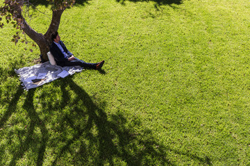 Serene businessman relaxing on blanket below tree in sunny park