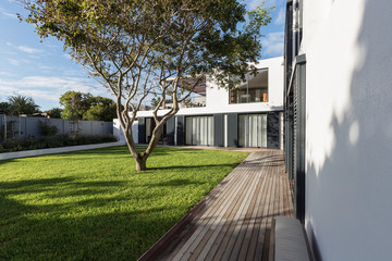 Sunny modern, luxury home showcase exterior yard with tree