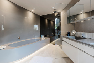 Modern luxury home showcase interior bathroom