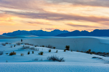 Fototapeta premium White Sands National Park Scenery 