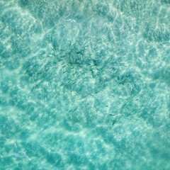 Obraz premium School