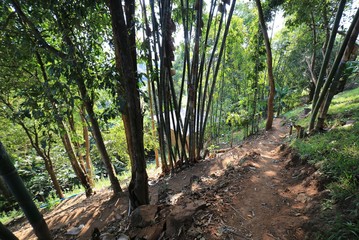 view in the mountains