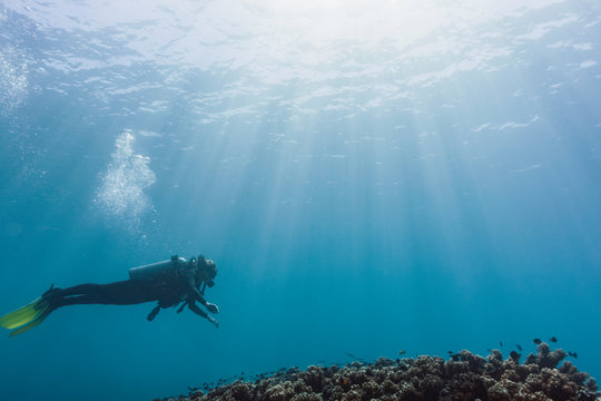 Woman scuba diving underwater, Maldives, Indian Ocean