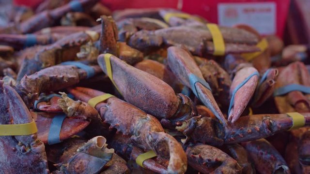 close up video of Crab Claws at a seafood market. Filmed in 4K RAW