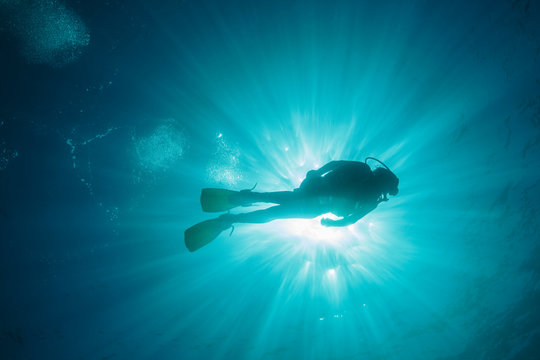 Sun shining behind woman scuba diving underwater, Maldives, Indian Ocean