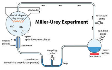 diagram of the miller-urey experiment