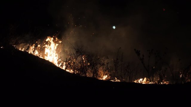 Deadly bush fire at night. Environmental catastrophe concept