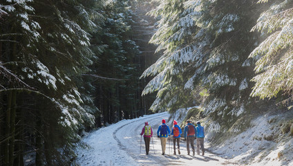 Family hiking in snowy woods