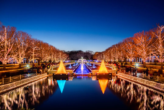 国営昭和記念公園　クリスマス　ライトアップ