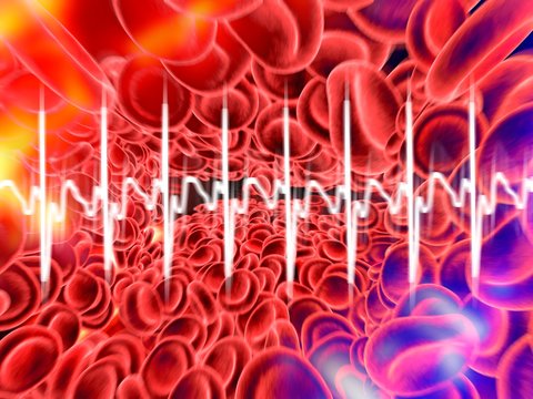 Red blood cells and ECG, artwork