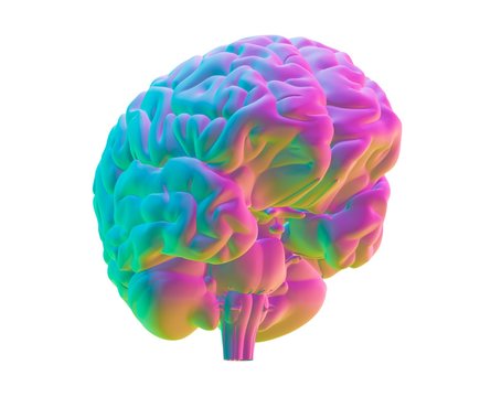 Human brain, computer artwork