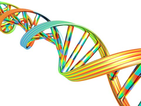 DNA molecule, computer artwork