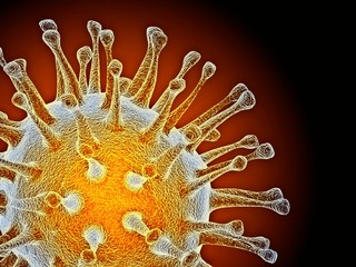 Avian influenza virus, computer artwork