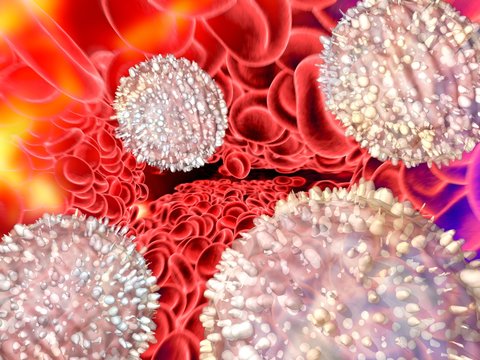 Blood cells, computer artwork