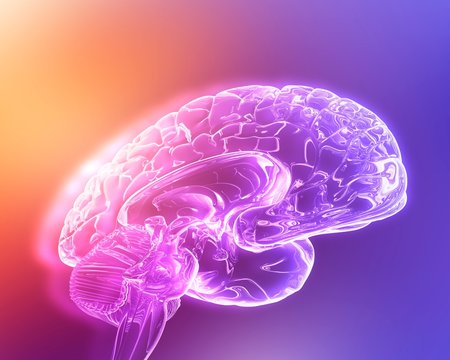 Brain, computer artwork