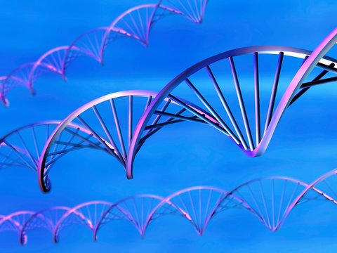 DNA molecules, computer artwork