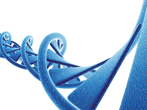 DNA molecule, computer artwork