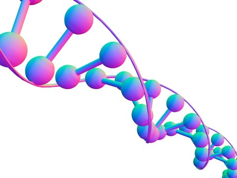 DNA molecule, computer artwork