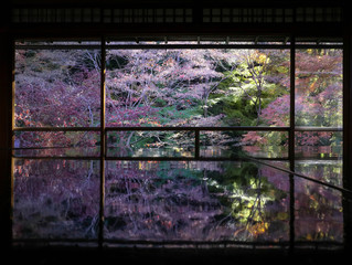 京都　秋　庭園　１１月
