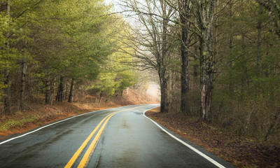 Wet road amidst trees