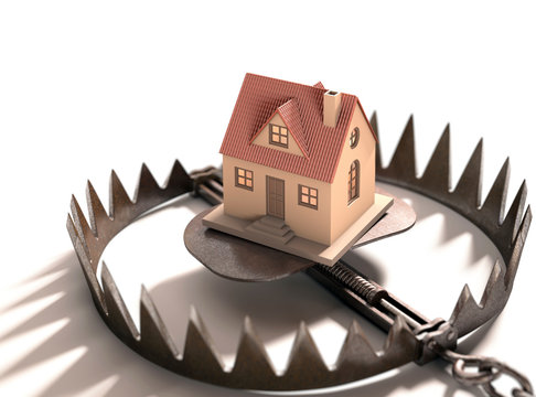 Animal trap with house, illustration