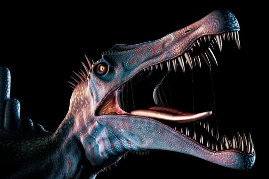 Spinosaurus Head Study