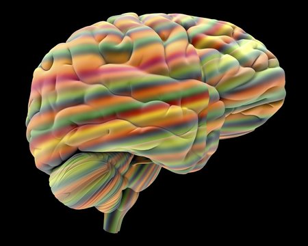 Brain, artwork